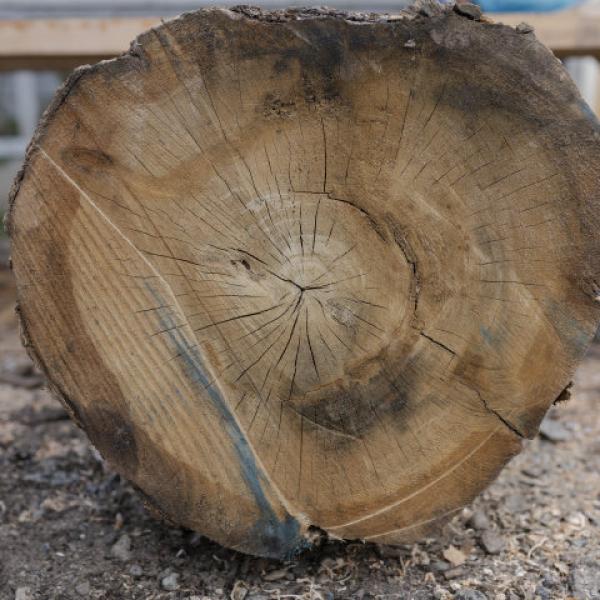 Madera Utilizada